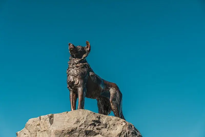 Dog statue at Lake Tekapo